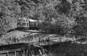 Reblaus Express fährt durch Wald