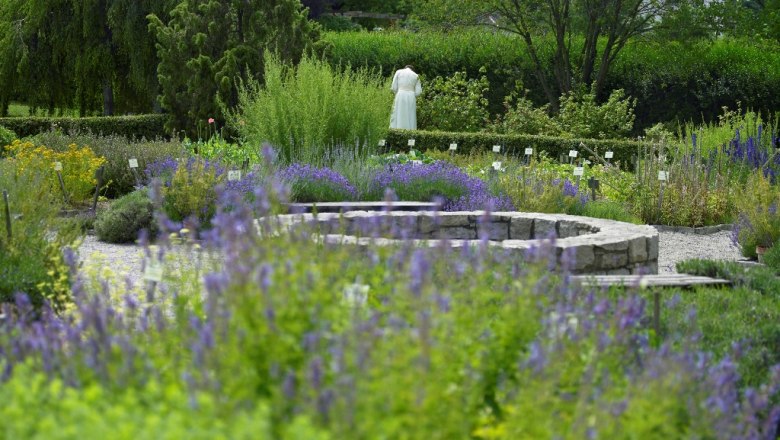 Ein üppiger Garten mit Lavendel und anderen Pflanzen, im Hintergrund eine Person in Weiß.