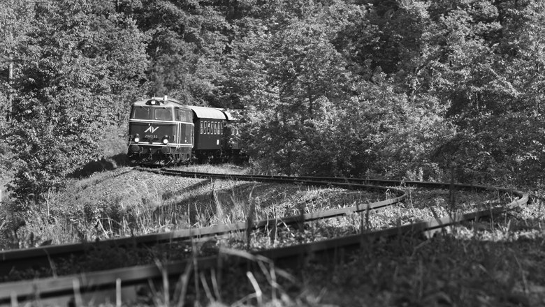 Fahrt durch tiefe Wälder, © Prokop