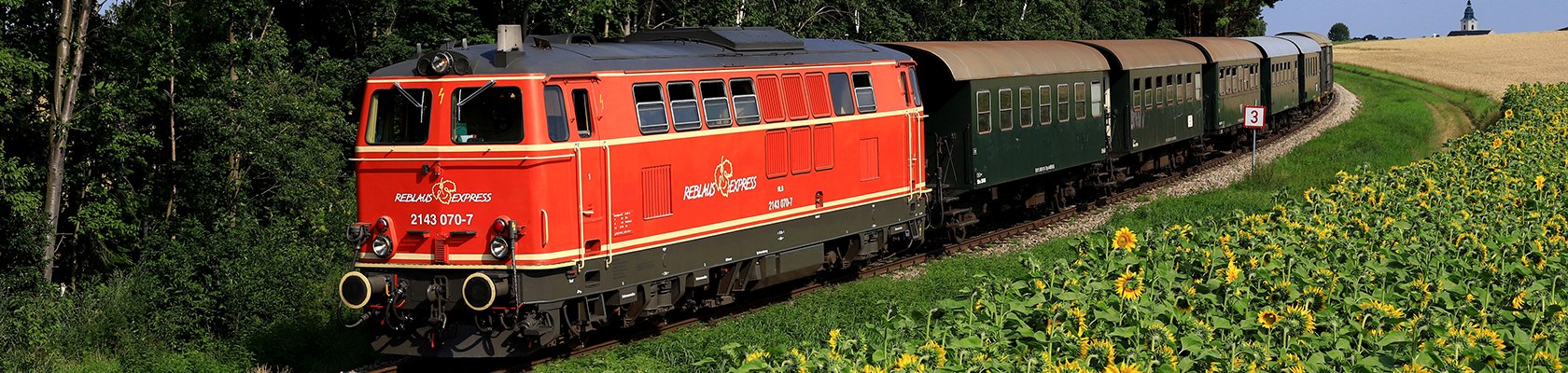 Zug mit roter Lok und grünen Waggons fährt an einem Sonnenblumenfeld vorbei.