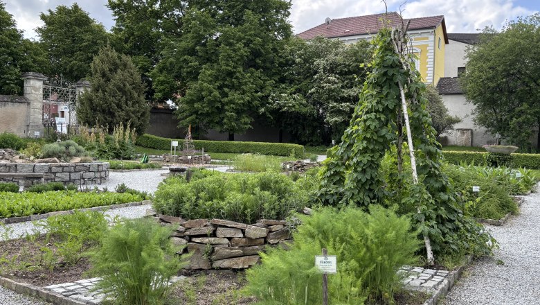 Medicinal herb garden in Geras Abbey with various plant beds and a wooden trellis.