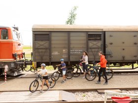 Reblausexpress, &copy; NB, Schwarz-K&ouml;nig