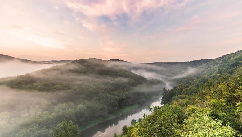 Blick über das bewaldete Thayatal mit einem Fluss und Nebelschwaden zwischen den Hügeln.