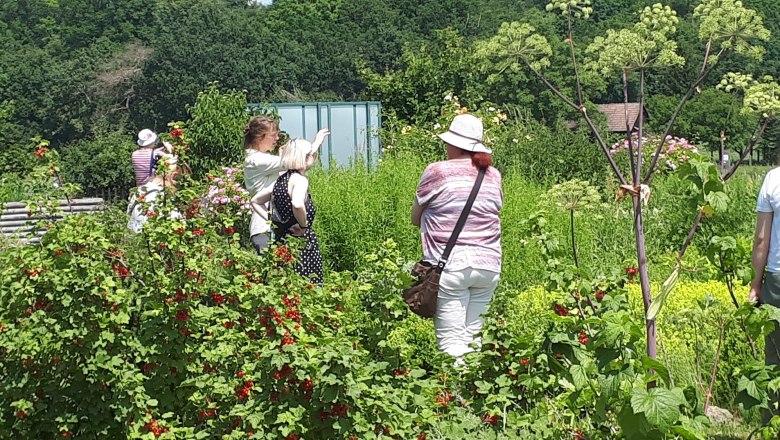 Gruppe von Menschen bei einer Gartenführung im Grünen.