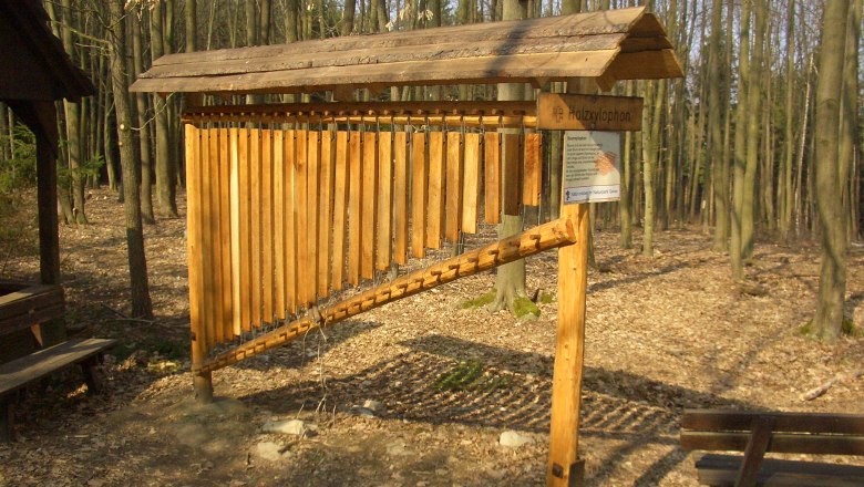 Wooden xylophone, &copy; Naturpark Geras