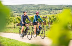 Radfahrer fahren durch Weingärten