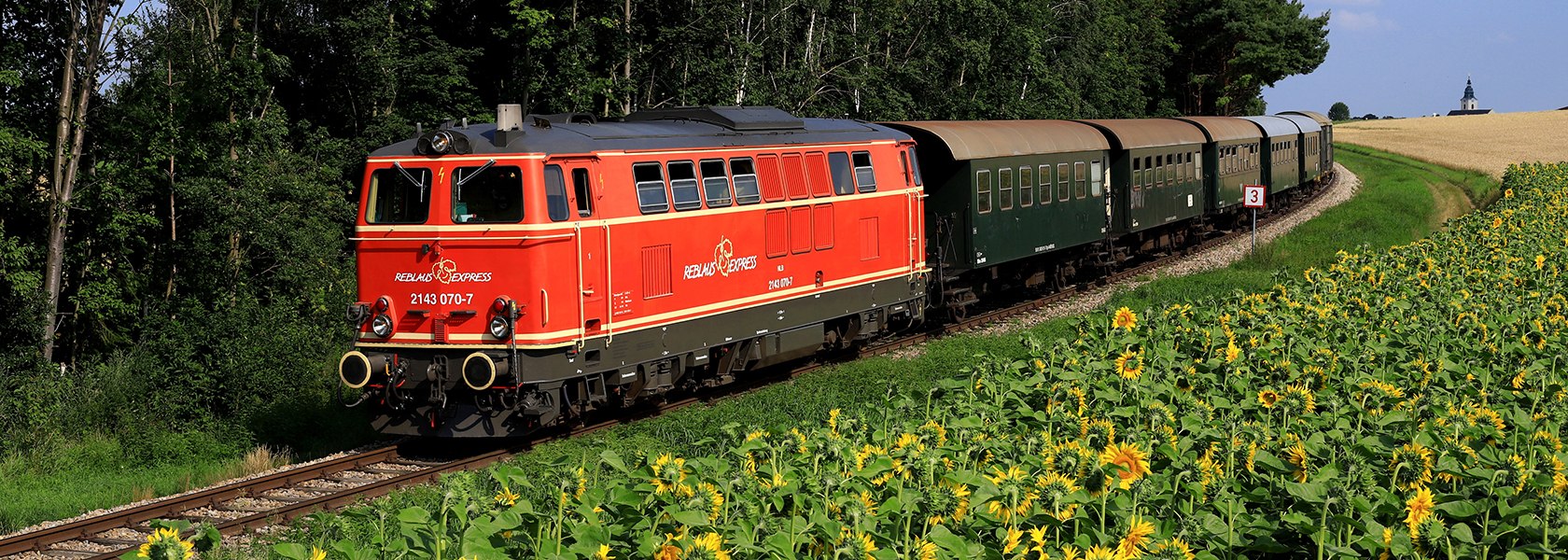 Zug mit roter Lok und grünen Waggons fährt an einem Sonnenblumenfeld vorbei.