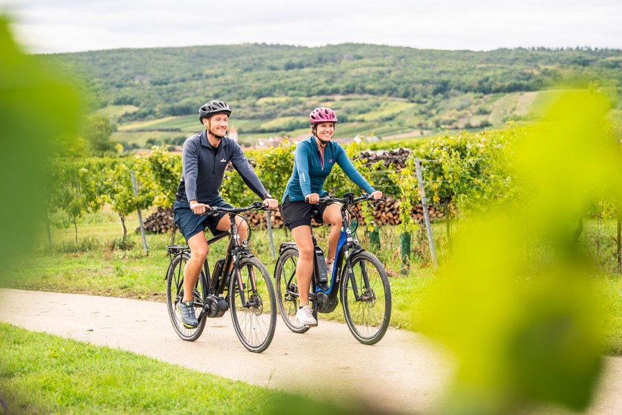 Radfahrer fahren durch Weingärten