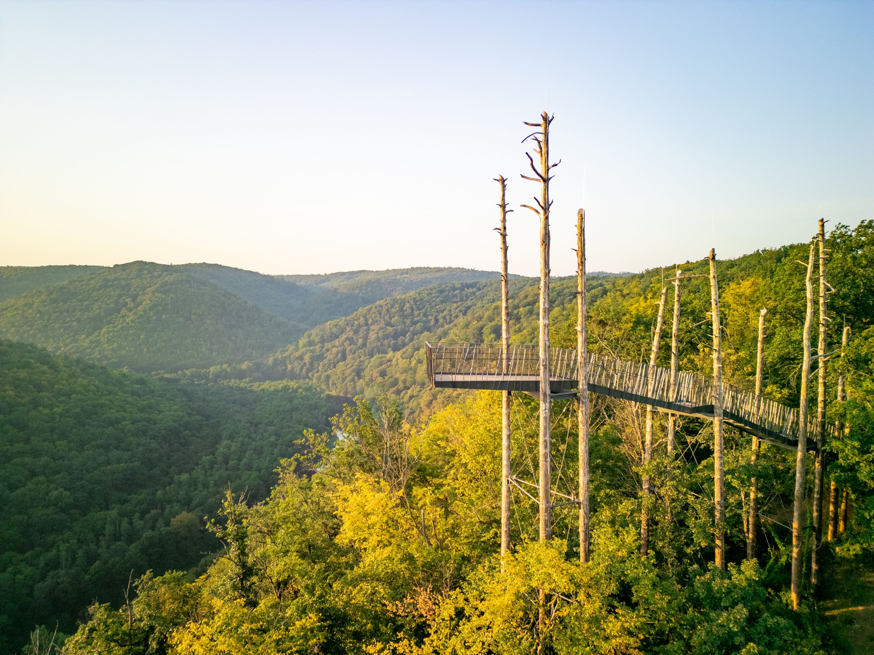 Aussichtsplattform im Wald mit Blick auf bewaldete Hügel im Hintergrund.