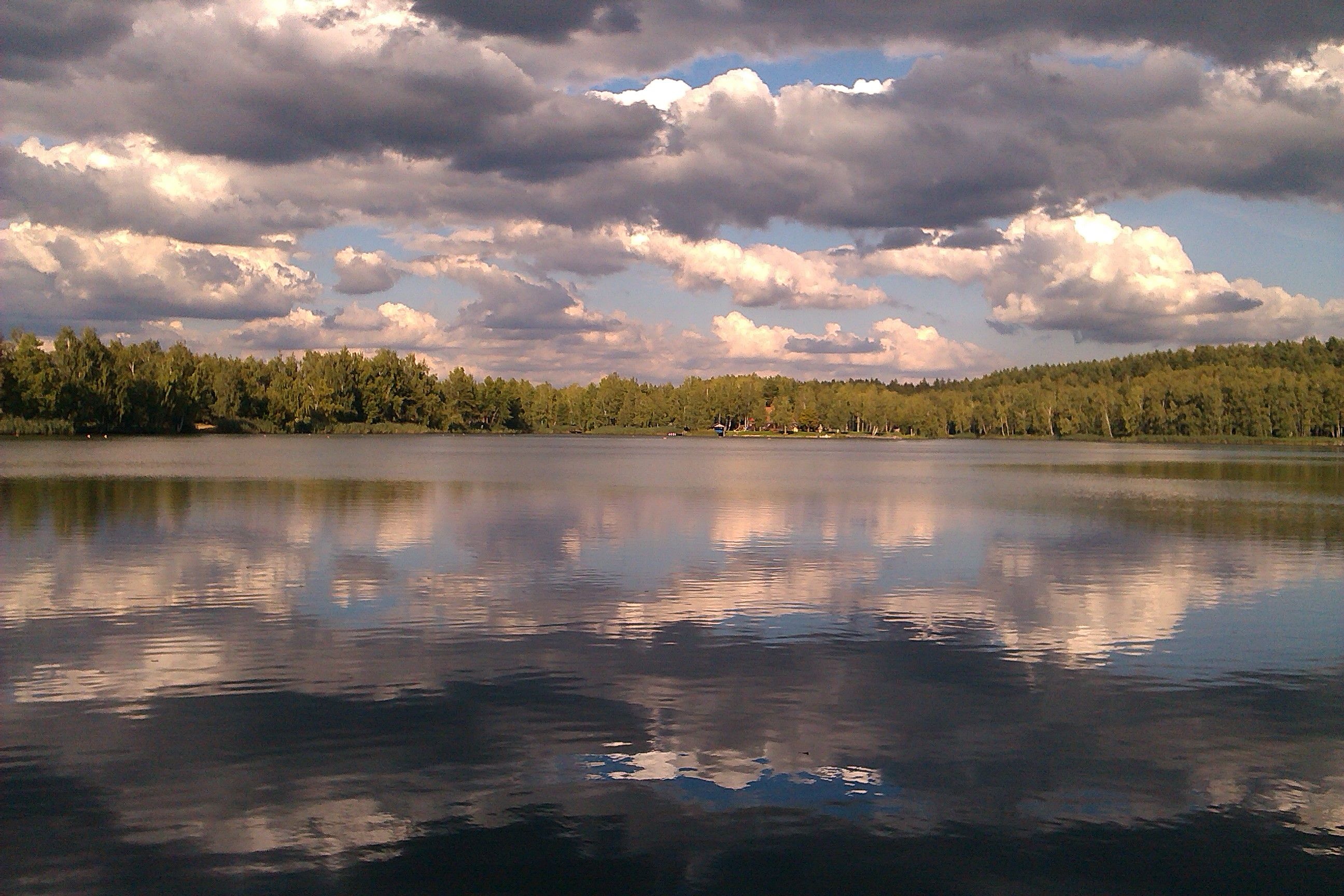 Ein See mit bewölktem Himmel und Wald im Hintergrund.