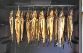 Fischspezialitäten im Anglerparadies Hessendorf, © NB/Winkelhofer