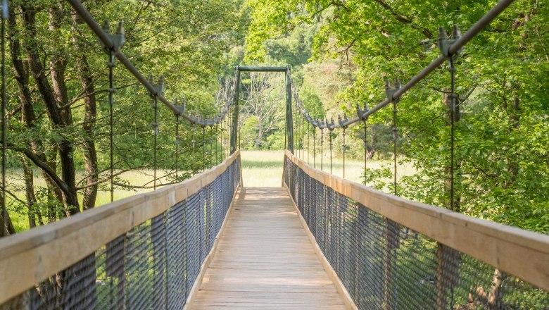 Hängebrücke im Nationalpark Thayatal umgeben von grünen Bäumen.
