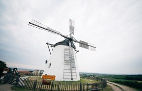 Windm&uuml;hle Retz, &copy; Weinviertel Tourismus / Gollner