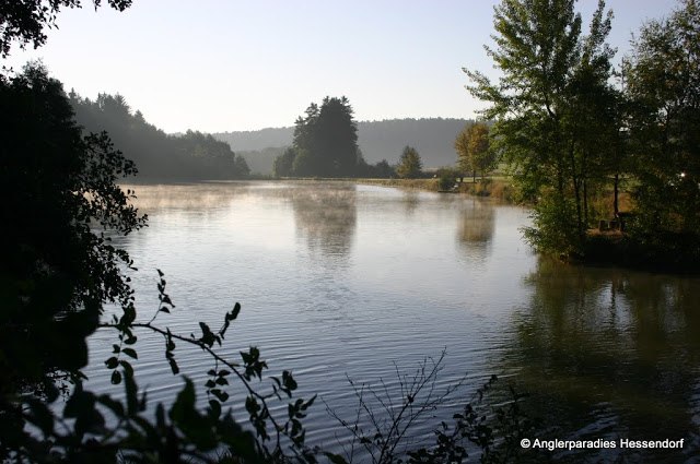 Ein ruhiger See im Morgenlicht mit B&auml;umen am Ufer und leichtem Nebel &uuml;ber dem Wasser.
